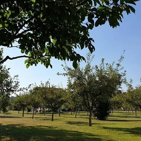 Tatil Evi Holiday Skoko Osijek