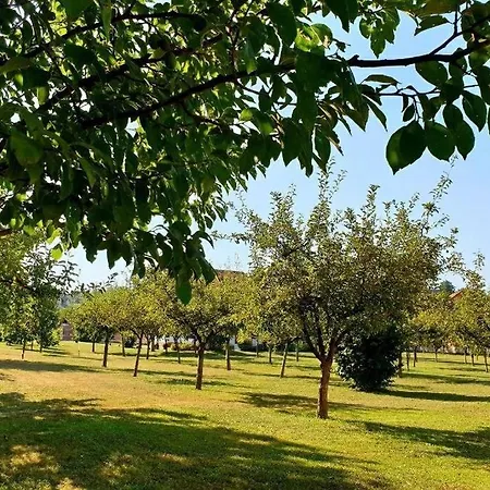 Tatil Evi Holiday Skoko